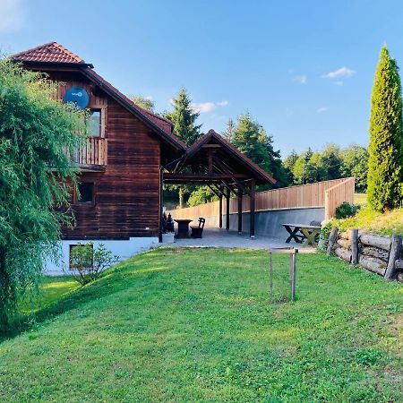 Family House Villa Mozirje Exterior photo